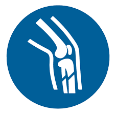 Ortho Icon
